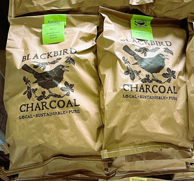Charcoal - Blackbird